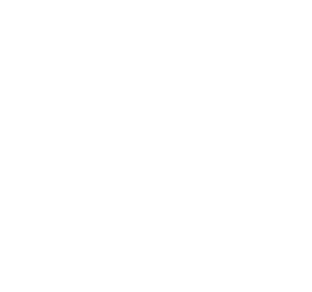 SAV+ Formation